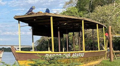 Barca varada en el río Miranda
