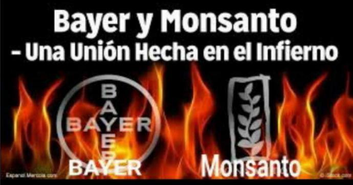 La encrucijada de Bayer