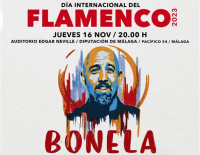 Bonela protagoniza el Día Internacional del Flamenco en la Diputación de Málaga