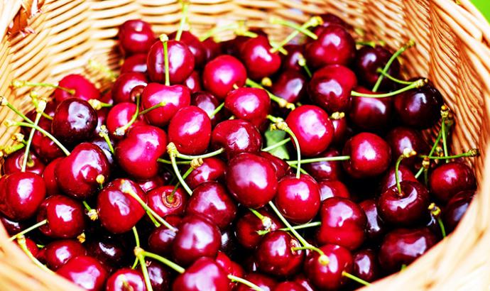 (crédito foto: pixabay.com – imagen de referencia)