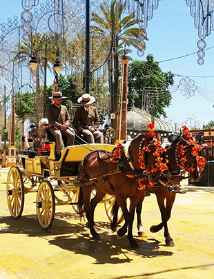 Un brindis por Cádiz desde el albero