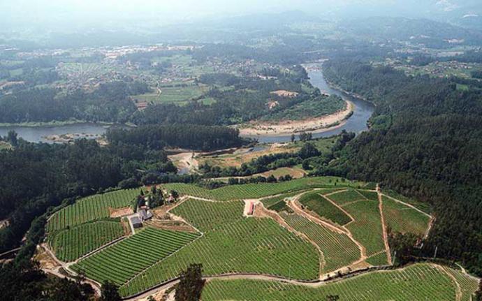 Las Bodegas del Grupo Masaveu