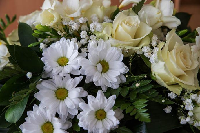 (Crédito foto: Pixabay.com – imagen de referencia)