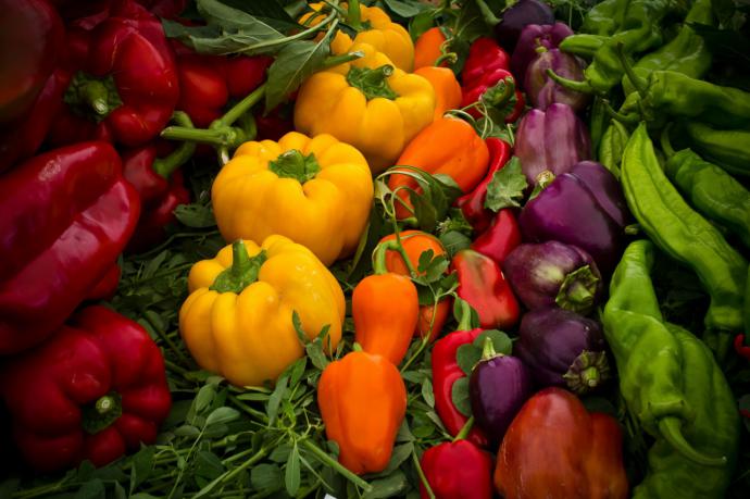 Conseguir un buen tomate no es tan fácil como parece