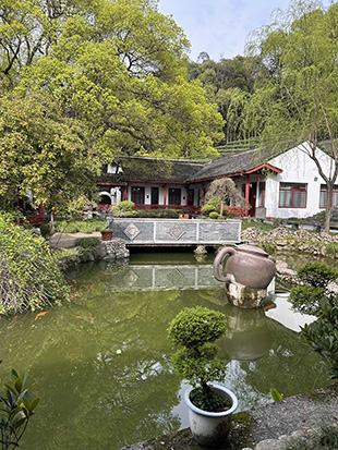 Hangzhou - Te? verde