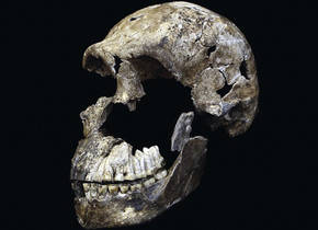 El ‘Homo naledi’ era más joven de lo que se pensaba