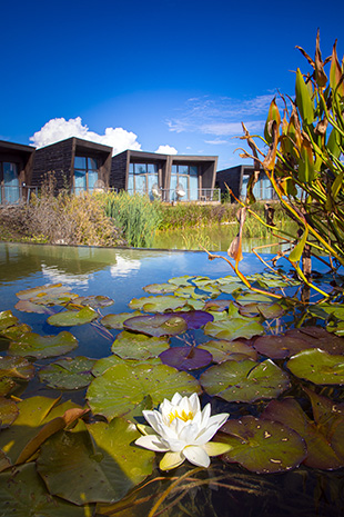Hotel Ecolodgee