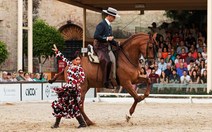 Caballerizas Reales, origen del caballo andaluz