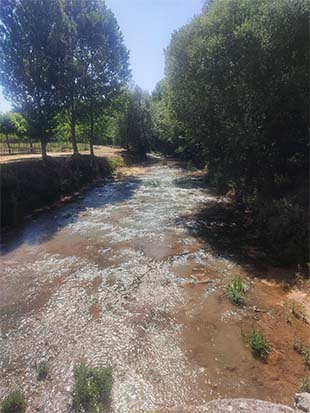 La naturaleza tan bonita que aporta al entorno de Coruña del Conde el río Arandilla, afluente del Duero