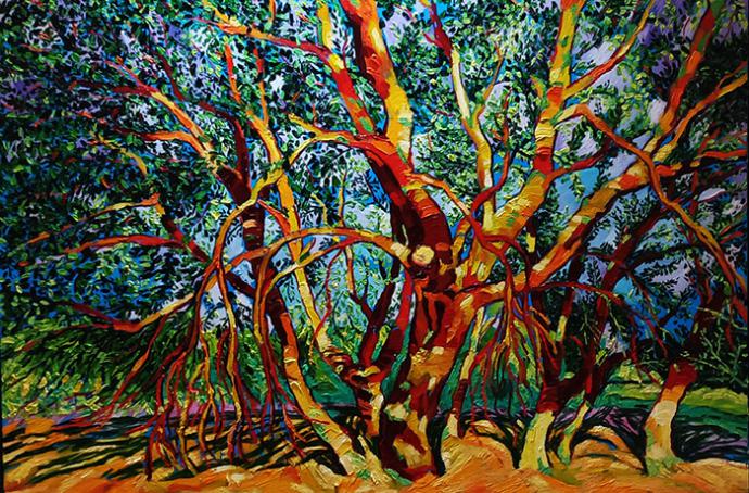 Ángel Adeva, Expone Sus Obras En Alcázar De San Juan