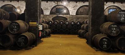 Montilla, Ciudad del Vino