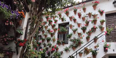La ciudad de Córdoba se prepara para celebrar la Fiesta de los Patios