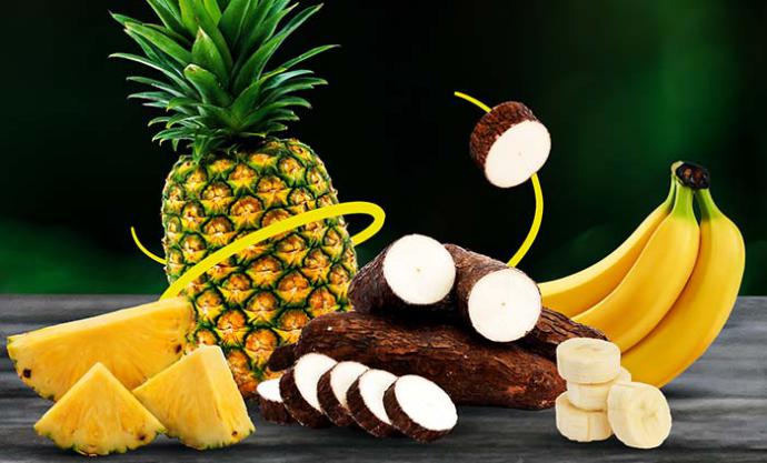 Piña, yuca y banano de Costa Rica