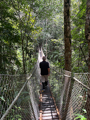 Brasil, Toda Una Experiencia