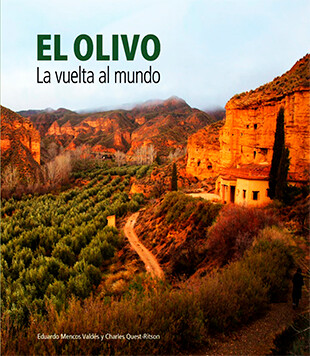 Cartel del film de Kiarostami, ”A través de los olivos”.
