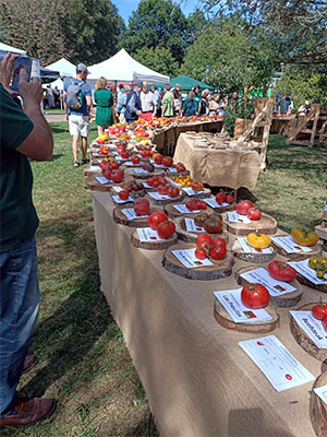 El chef Jesús Sánchez primer Embajador del Festival del Tomate de Torrelavega