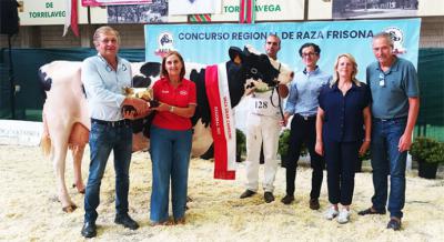 La granja Cudaña arrasa en el campeonato regional de la raza frisona