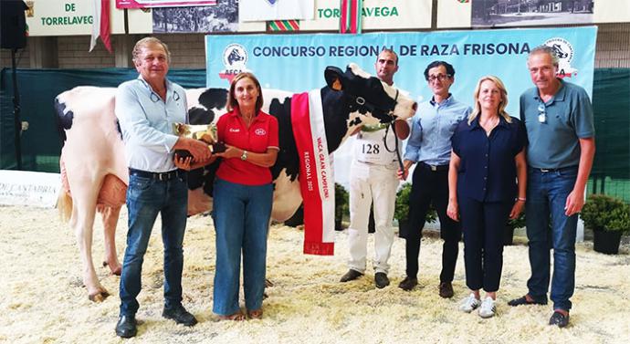 La granja Cudaña arrasa en el campeonato regional de la raza frisona