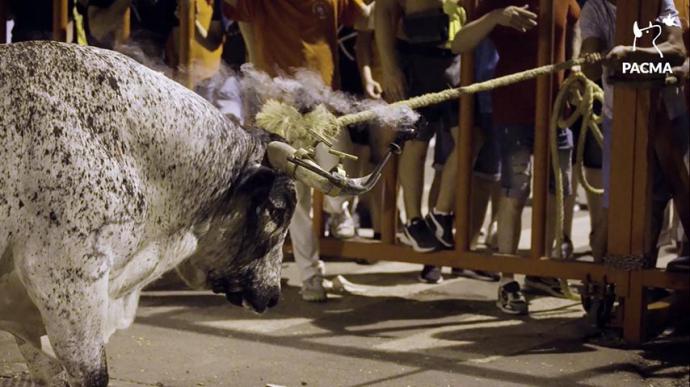 Descontrol en Alfafar: los toros embolados sacan lo peor de la afición