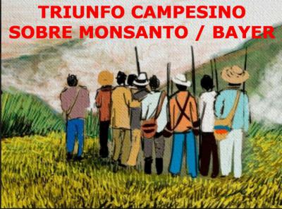 Triunfo campesino sobre Monsanto / Bayer