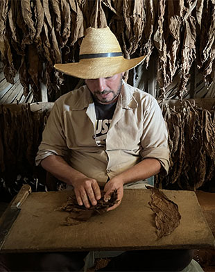 Viñales. Liando un habano.