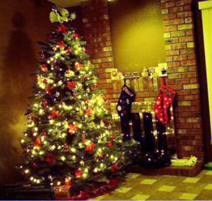 El árbol de Navidad, símbolo casi universal de las fiestas navideñas…