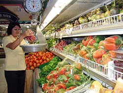 Solo con los productos que diariamente botan a la basura  los supermercados  del mundo entero por límites en fechas de caducidad y/o por pequeños fallos, sería posible mitigar el hambre de millones de personas. 

