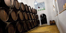 La ruta del vino Montilla-Moriles promocionará el Enoturismo en FITUR 2010