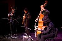 El trío 'The Folkincats'