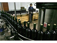 Las exportaciones de vino chileno crecen marginalmente por la caída de precios en 2009