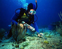 Cuba, paraíso caribeño para el buceo