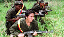 Las FARC reconocen la pérdida de 43 guerrilleros