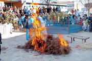 El “chamusquinado” del cerdo, una de las fases de la Matanza