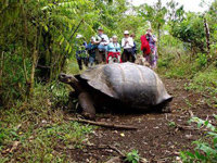 Las islas Galápagos fascinaron a los asistentes a la ITB 2010