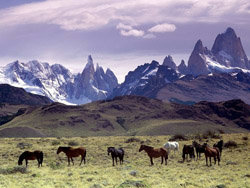 La cordillera de los Andes es la cadena montañosa más grande del planeta