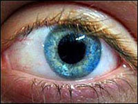 La degeneración macular es una de las principales causas de ceguera en el mundo.

