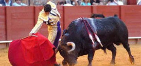 Los toros en España: 1.848 corridas, 10.247 toros lidiados y 8.301 toreros