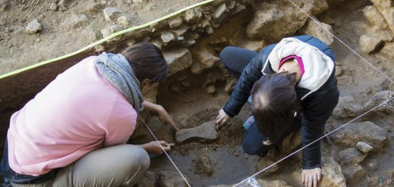 Omóplato de caballo encontrado en Peña Capón (Guadalajara)/ EQUIPO DE EXCAVACIÓN DE PEÑA CAPÓN